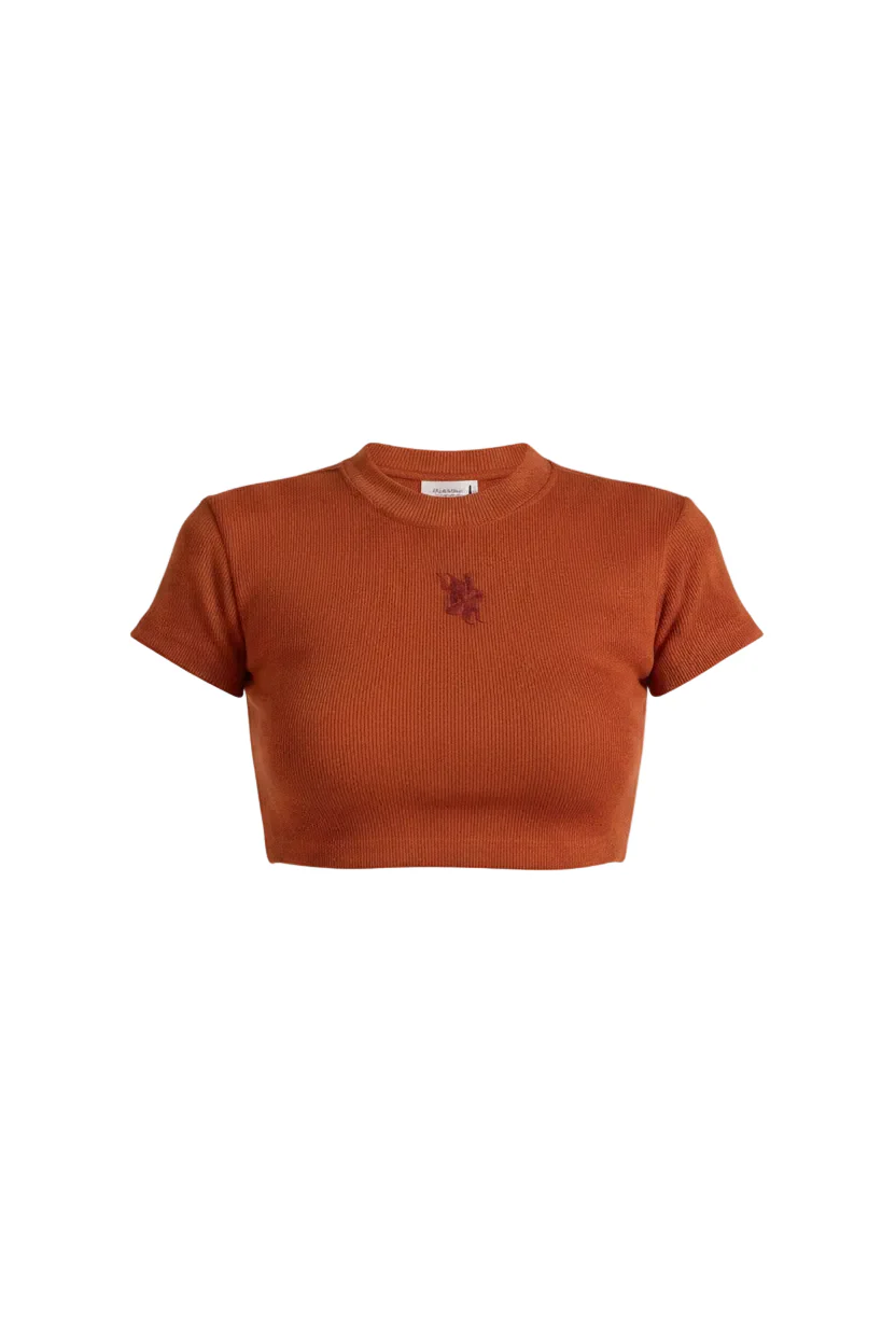 Basics Women's Red Crop T-shirt