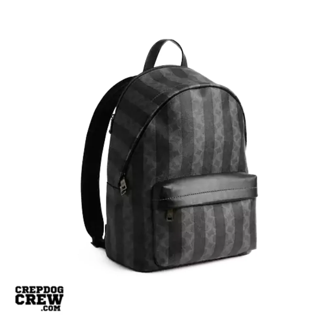 Coach Taylor Backpack In Signature Canvas With Stripes Gunmetal Black Grey - Image 2