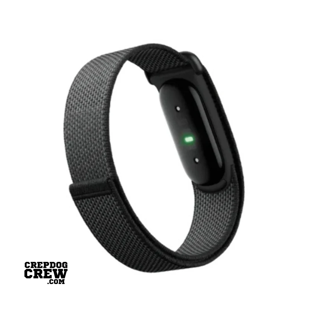 Google Fitbit Air Classic - Image 4