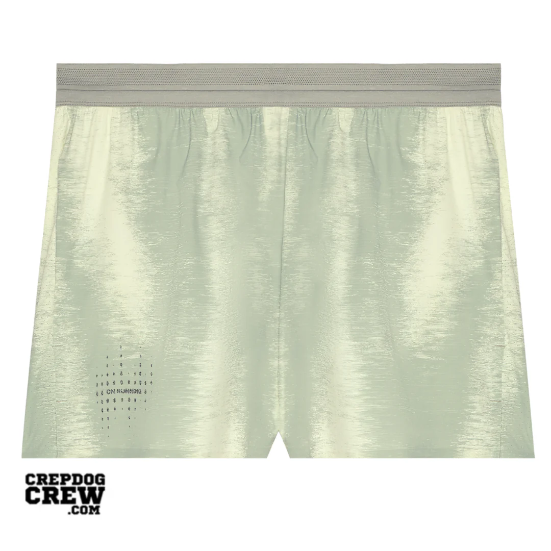 ON Performance Shorts Terra